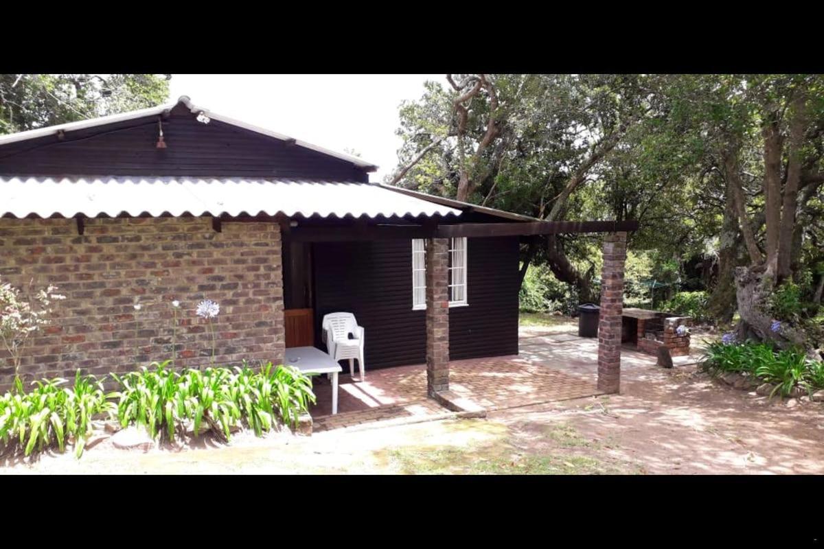 Woodbourne Resort Knysna Exterior foto